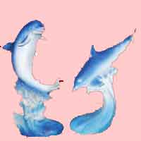 dolphins