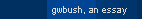 gwbush, an essay (open)