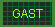 Contribute work, funds or ideas to project GAST