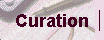 Curation