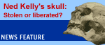 Ned Kelly's skull: Stolen or liberated?