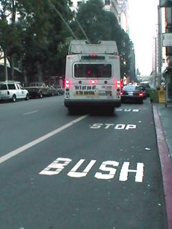 Stop Bush