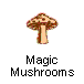 Magic Mushrooms