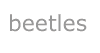 beetle