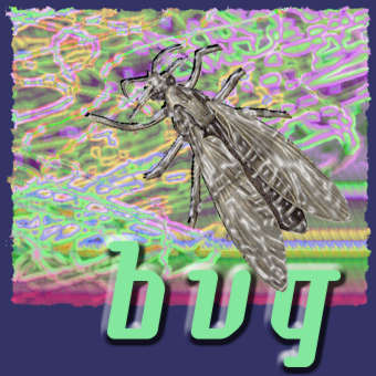 b_______u________g